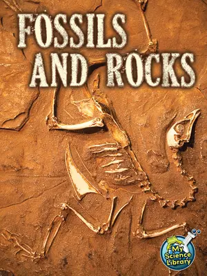 Kövületek és kőzetek - Fossils and Rocks