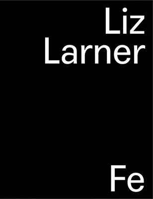 Liz Larner: Larner: Don't Put It Back Like It Was It Was - Liz Larner: Don't Put It Back Like It Was