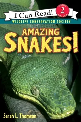 Csodálatos kígyók! - Amazing Snakes!