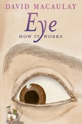 Szem: Hogyan működik - Eye: How It Works