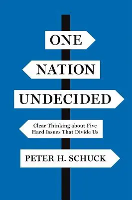 Egy nemzet bizonytalan: Világos gondolkodás öt nehéz kérdésről, amelyek megosztanak minket - One Nation Undecided: Clear Thinking about Five Hard Issues That Divide Us