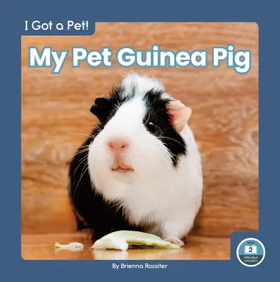 Házi kedvenc tengerimalacom - My Pet Guinea Pig