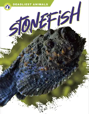 Kőhal - Stonefish