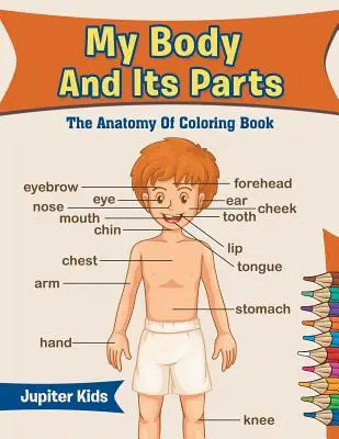 A testem és annak részei: Az anatómia színezőkönyv - My Body And Its Parts: The Anatomy Of Coloring Book