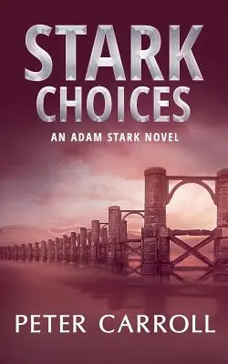 Stark Choices: Adam Stark regénye - Stark Choices: An Adam Stark Novel