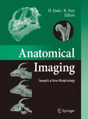 Anatómiai képalkotás: Egy új morfológia felé - Anatomical Imaging: Towards a New Morphology