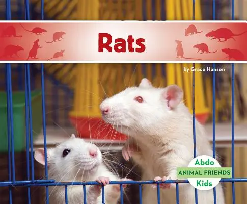 Patkányok - Rats