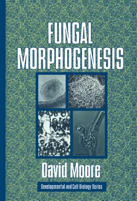 Gombák morfogenezise - Fungal Morphogenesis