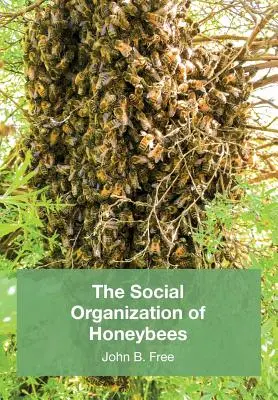 A méhek társadalmi szerveződése - The Social Organisation of Honeybees