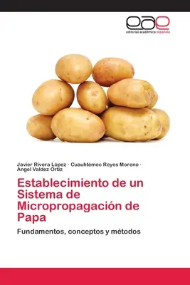 Establecimiento de un Sistema de Micropropagacin de Papa