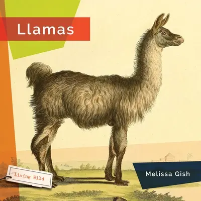 Lámák - Llamas