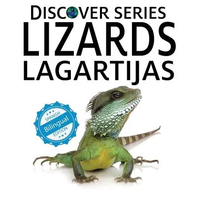 Gyíkok / Lagartijas - Lizards / Lagartijas