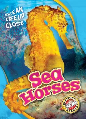 Tengeri lovak - Sea Horses