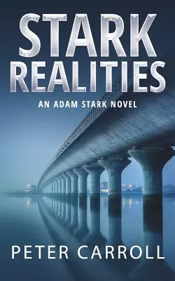 Stark Realities: Adam Stark regénye - Stark Realities: An Adam Stark Novel