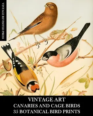 Vintage Art: 35 botanikai nyomatok: Kanárik és ketrecmadarak 35 botanikai nyomatok: Efremera a keretezéshez, dekupázshoz és vegyes médiához. - Vintage Art: Canaries and Cage Birds 35 Botanical Prints: Ephemera for Framing, Decoupage, and Mixed Media