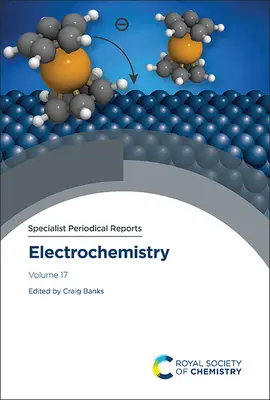 Elektrokémia: Kötet 17. - Electrochemistry: Volume 17