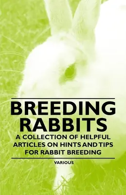 Nyulak tenyésztése - Hasznos cikkek gyűjteménye a nyúltenyésztéssel kapcsolatos tanácsokról és tippekről - Breeding Rabbits - A Collection of Helpful Articles on Hints and Tips for Rabbit Breeding