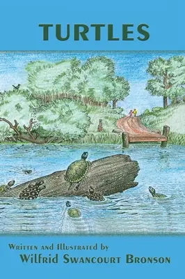 Teknősök - Turtles