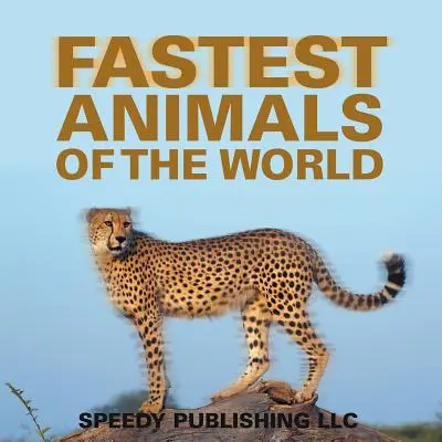 A világ leggyorsabb állatai - Fastest Animals Of The World