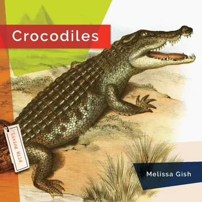 Krokodilok - Crocodiles