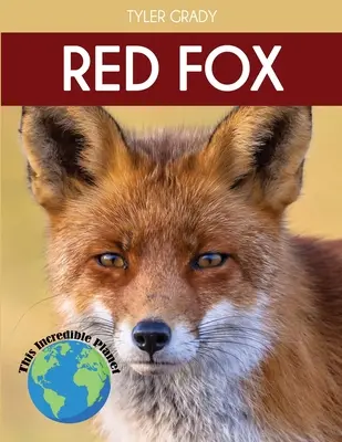 Red Fox: Lenyűgöző állati tények gyerekeknek - Red Fox: Fascinating Animal Facts for Kids