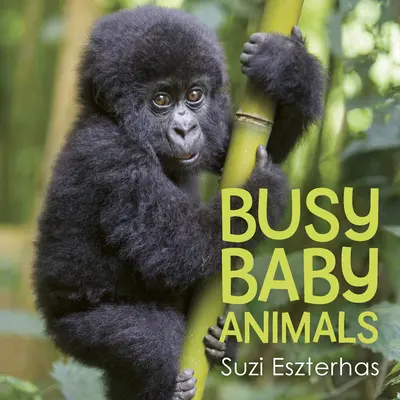 Szorgos bébiállatok - Busy Baby Animals