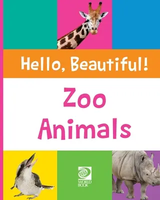 Állatkerti állatok - Zoo Animals