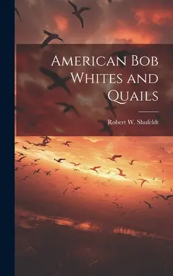 Amerikai bob fehér és fürj - American bob Whites and Quails