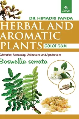 GYÓGY- ÉS FŰSZERNÖVÉNYEK - 46. Boswellia serrata (szalai gumi) - Boswellia serrata (szalai gumi) - HERBAL AND AROMATIC PLANTS - 46. Boswellia serrata (Salai Gum)