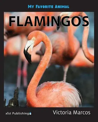 Kedvenc állatom: Flamingók - My Favorite Animal: Flamingos
