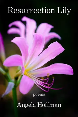 Lily feltámadása - Resurrection Lily