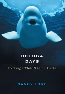 Beluga Days: Egy fehér bálna igazságainak nyomában - Beluga Days: Tracking a White Whale's Truths