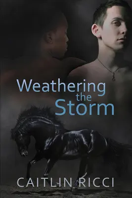 A viharral szemben: Volume 1 - Weathering the Storm: Volume 1