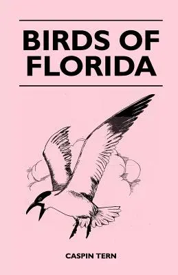 Florida madarai - Birds of Florida