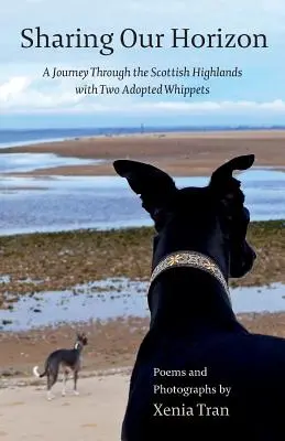 Megosztjuk a horizontunkat: Utazás a skót felföldön két örökbefogadott whippettel - Sharing our Horizon: A Journey Through the Scottish Highlands with Two Adopted Whippets