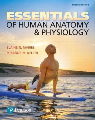 Az emberi anatómia és élettan alapjai - Essentials of Human Anatomy & Physiology