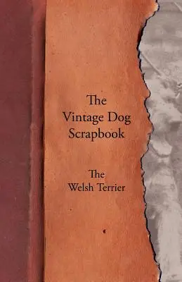 A Vintage Dog Scrapbook - A walesi terrier - The Vintage Dog Scrapbook - The Welsh Terrier