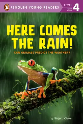 Itt jön az eső!: Az állatok meg tudják jósolni az időjárást? - Here Comes the Rain!: Can Animals Predict the Weather?