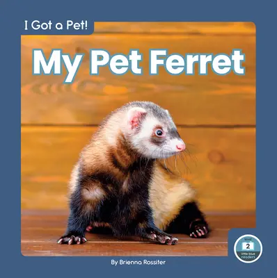 Házi görényem - My Pet Ferret