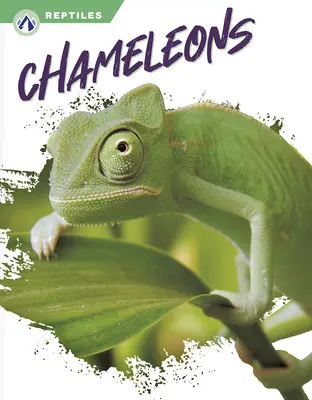 Kaméleonok - Chameleons