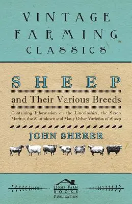 Juhok és különböző fajtáik - Információkat tartalmaz a Lincolnshire, a Saxon Merino, a Southdown és sok más juhfajtáról. - Sheep and Their Various Breeds - Containing Information on the Lincolnshire, the Saxon Merino, the Southdown and Many Other Varieties of Sheep