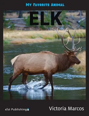 Kedvenc állatom: Elk - My Favorite Animal: Elk