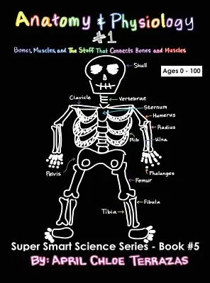 Anatómia és élettan 1. rész: Csontok, izmok és a csontokat és izmokat összekötő anyagok - Anatomy & Physiology Part 1: Bones, Muscles, and the Stuff That Connects Bones and Muscles