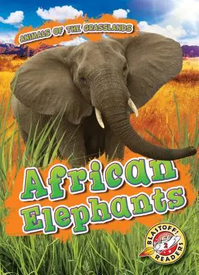 Afrikai elefántok - African Elephants