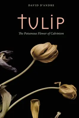 Tulipán: A kálvinizmus mérgező virága - Tulip: The Poisonous Flower of Calvinism