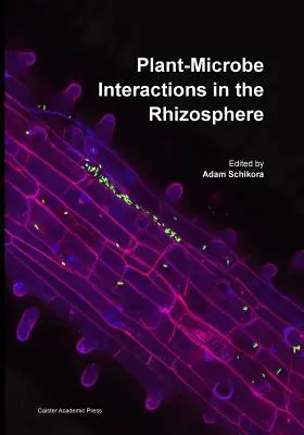 Növény-mikroba kölcsönhatások a rizoszférában - Plant-Microbe Interactions in the Rhizosphere