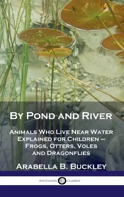 A tó és a folyó mellett: Vízközelben élő állatok magyarázva gyerekeknek - békák, vidrák, nyestek és szitakötők - By Pond and River: Animals Who Live Near Water Explained for Children - Frogs, Otters, Voles and Dragonflies