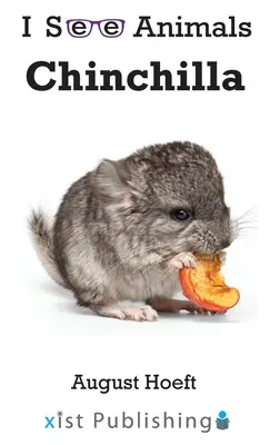 Csincsilla - Chinchilla