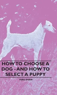 Hogyan válasszunk kutyát - és hogyan válasszunk kiskutyát? - How To Choose A Dog - And How To Select A Puppy