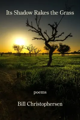 Az árnyéka felszántja a füvet - Its Shadow Rakes the Grass